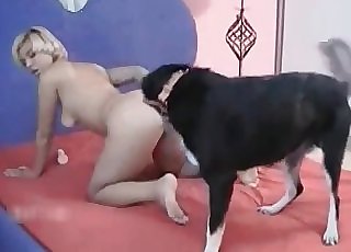 Mutt fucked a fantastic cougar with zeal and intensity