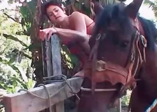 Kinky little pony enjoying brutal bestiality