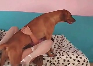 Dog dicked asshole of my sexy wife