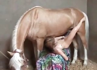Nice horse cock in a tight cunt