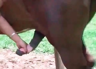 Slut is masturbating a horse cock in the mouth