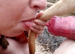 Sperm bestiality tube