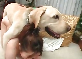 Nasty bestiality activity for a woman and a insane doggo