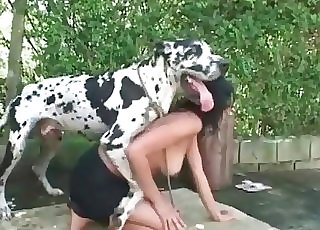 Spotted puppy is totally shagging an incredibly kinky woman