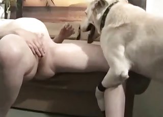 Awesome pregnant zoofil fucked by her Husky