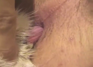 The fact that ass cums during anal is important