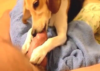 Fuck scene with a beast that licks the dick