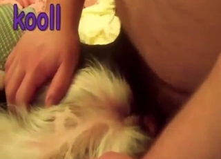 Decently hung gapist needs to fuck a sexy dog