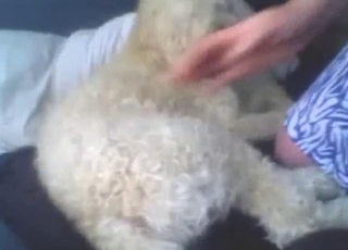 Adorable beast talked into fucking this brunette