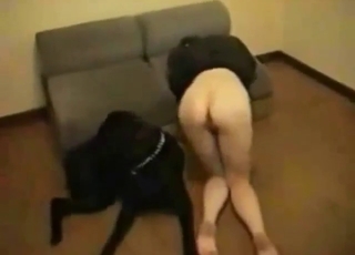 Zoo XXX with plenty of pleasure, doggystyle gape