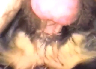 Zoophile porn movie with close-up gaping