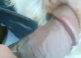 Sex