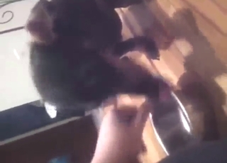 Naughty black dog wants to get fucked big time