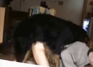 Skinny guy's tight ass gets ruined by a dog