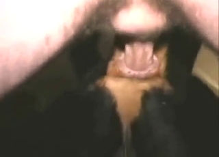 Nearly throwing his back during dog fucking