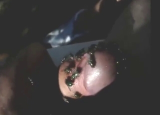 Flies flock to his boner and he loves that shit