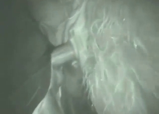 Couple invited him to fuck their sexy llama