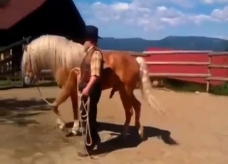 Here's the hottest horse fuck movie out there