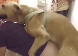 Sexy girl in purple fucking brown dog on all fours