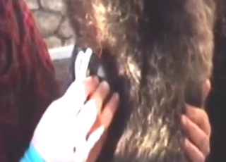 Animal gets to enjoy the best doggystyle