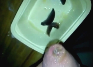 Zoophile with MOVING foreskin jerking off