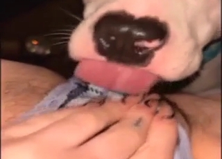 Bestiality sex with oral domination, clit worship