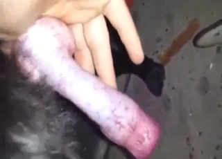 Zoophile porn with a dick-grabbing horny mofo