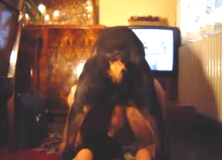 Zoo XXX showing a guy getting his ass rekt