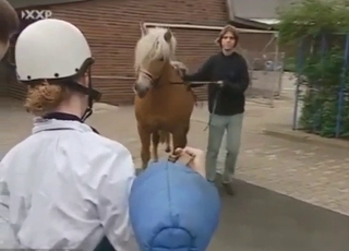 Big dick stallion energy in a cum collection vid