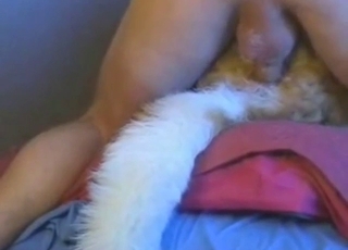 Hard-pressed to gape that dog, it's just insane