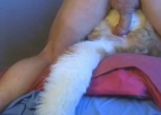 Hard-pressed to gape that dog, it's just insane