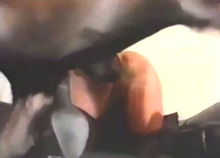 Leather sofa fuck with a horned-up hottie
