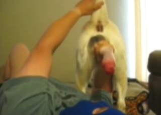 Blue balaclava dude sucking off a white dog