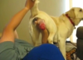 Blue balaclava dude sucking off a white dog