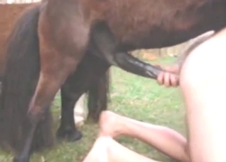 Pony porn movie with fast doggystyle banging