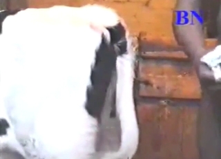 Calf was BEGGING for it, the guy gets freaky