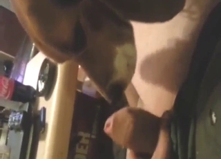 Dude fucks an old bitch with his strong boner