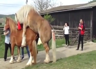 Daft draft horse fucking that slutty-ass bitch