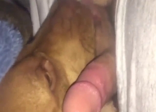 Horny guy loves having his animal lick dick