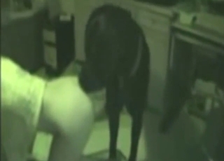 Big-beast zoo sex with a girl getting vag-fucked