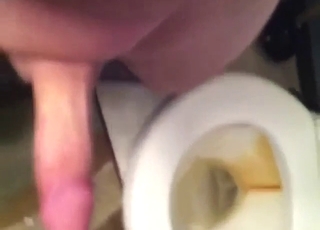 Dog licking a guy's taint and cock for the cam