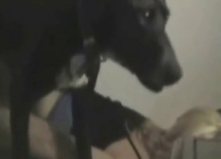 Hot babe in blue and black getting fucked by dog