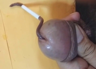 Warm-up worm is making his dick even harder