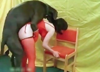 Doggy style banging for a dog