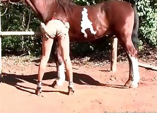 Teen pleases her lovely horse
