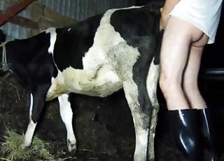Dude is gonna fuck that hot cow on cam