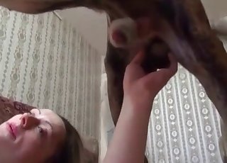 Amazing dog sex action with a good hottie