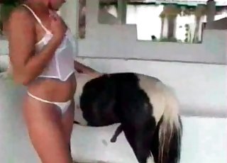 Pony fucking a horny chick on cam