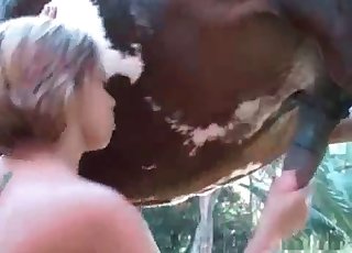 Dirty zoophile is wanking a horse boner