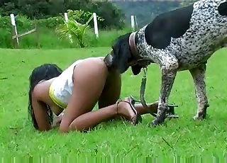 Brown pussy serviced by a kinky dog